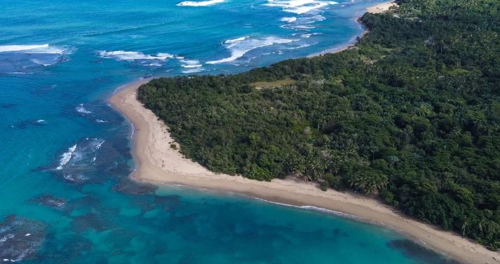 Vista aérea de una playa y bosque en la costa norte